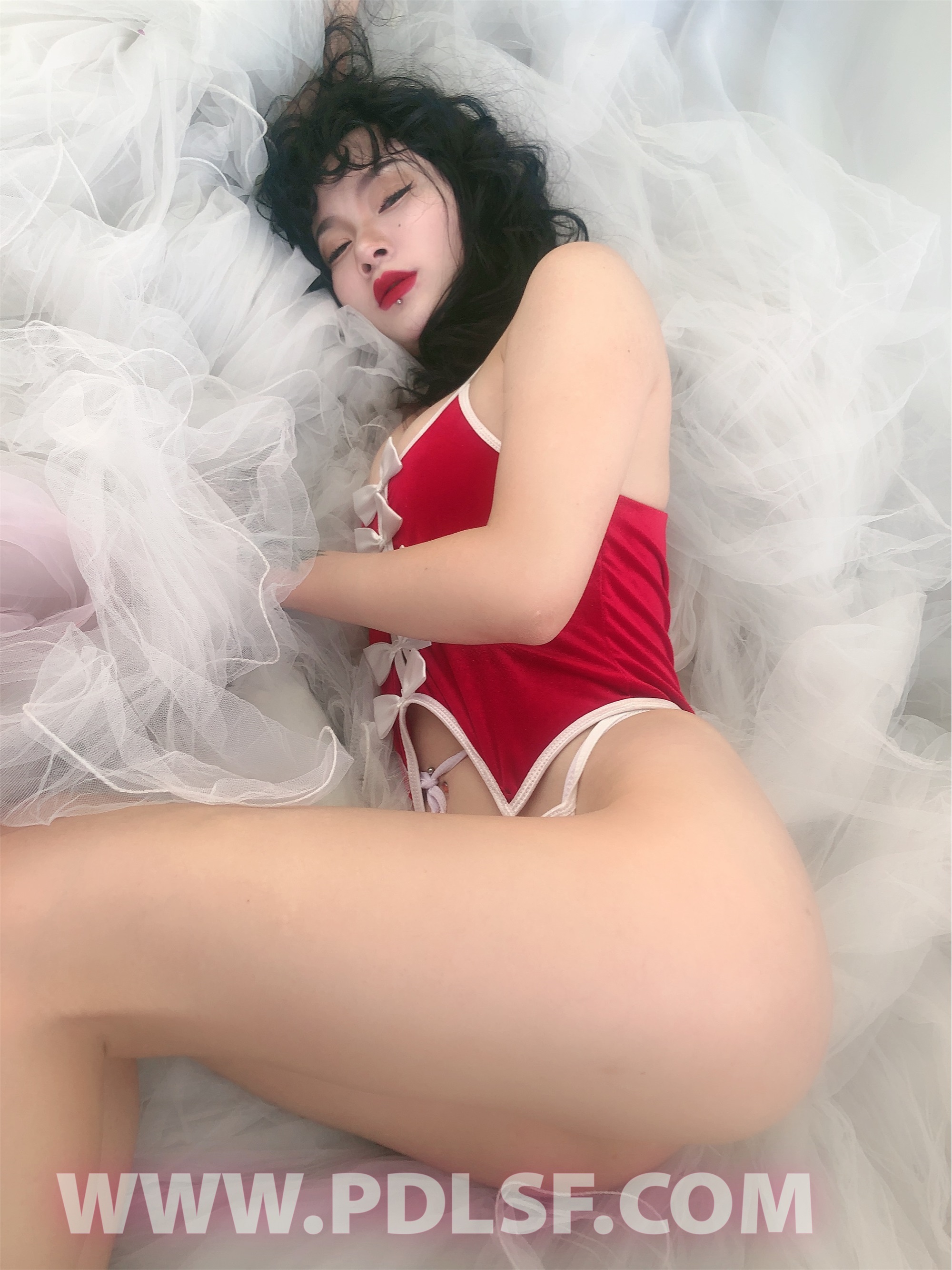 PDL潘多拉 2020.02.03 专辑No.276